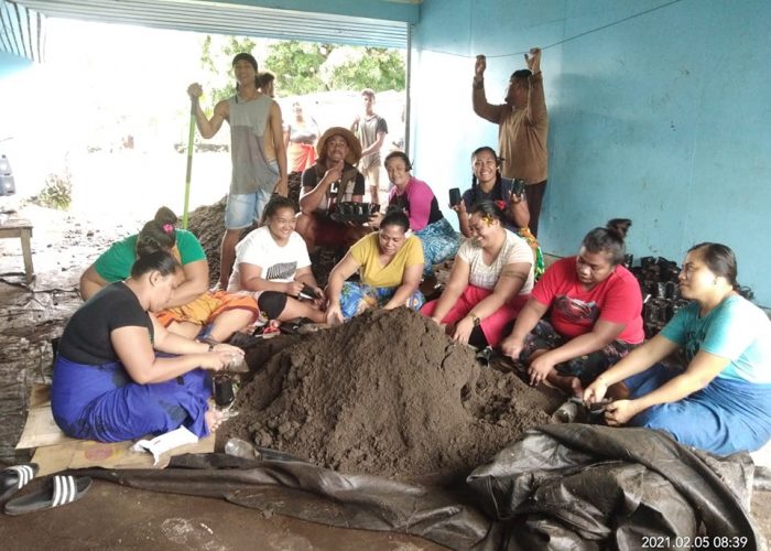 Unemployed Hotel Workers in Asau Benefit From Replanting Work Scheme