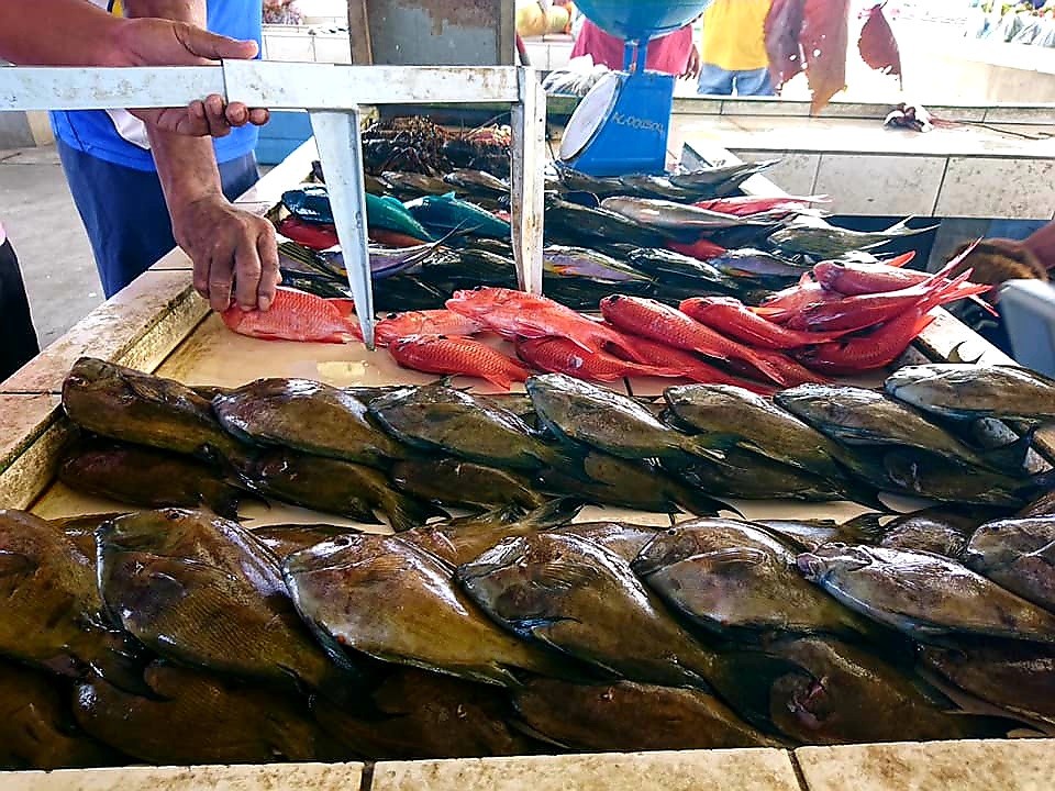 “Hefty fines await those who break Samoa’s fisheries laws” – Ministry of Agriculture and Fisheries