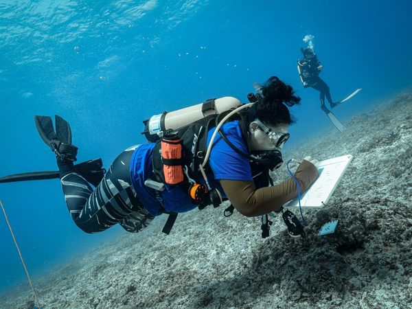 Researchers return from 8 day expedition to study marine life